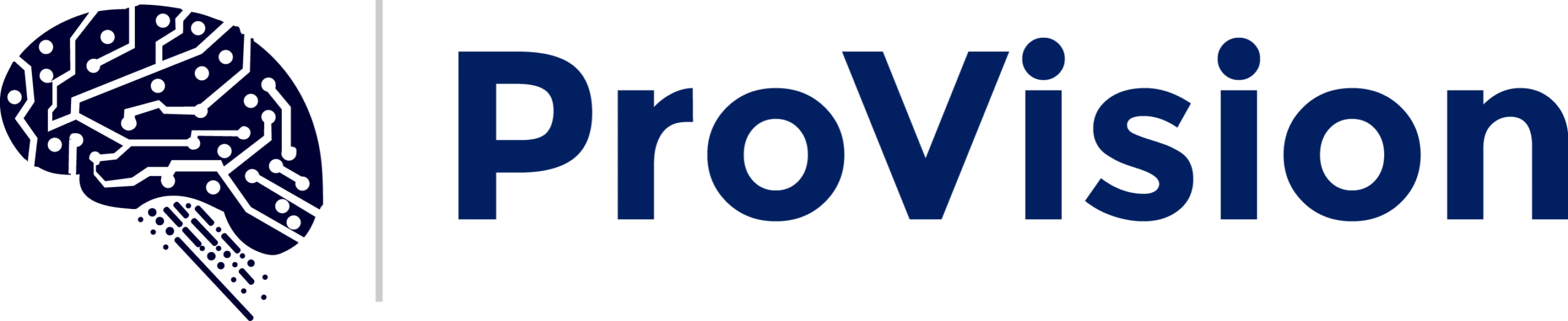 ProVision Logo